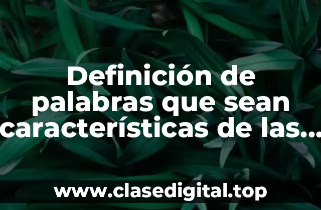 Definición de palabras que sean características de las lenguas monosilabicas