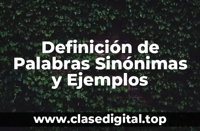 Definición de Palabras Sinónimas y Ejemplos
