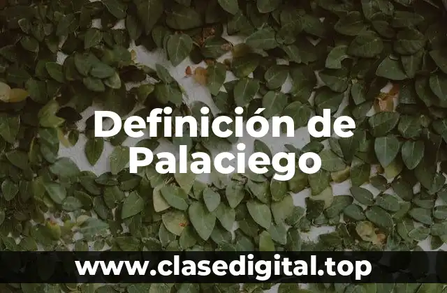 Definición de Palaciego