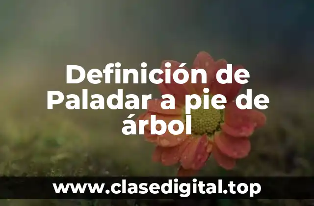 Definición de Paladar a pie de árbol
