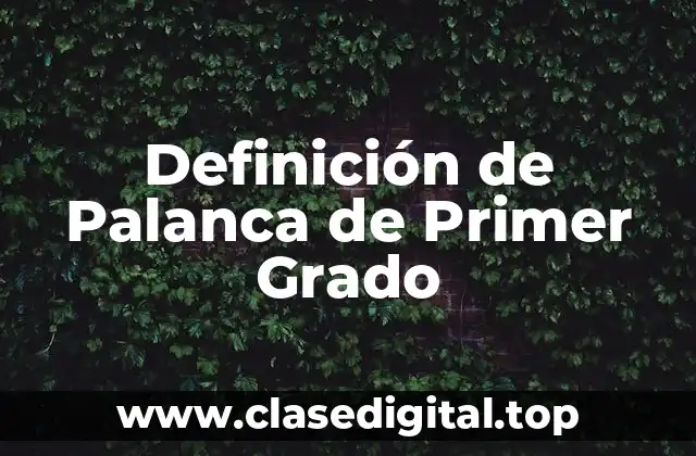 Definición de Palanca de Primer Grado