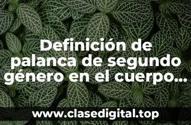 Diferencia entre palanca de segundo género y palanca de tercer género