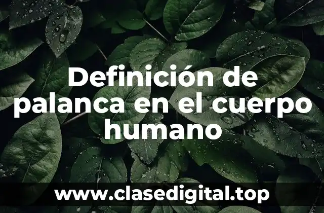 Definición de palanca en el cuerpo humano