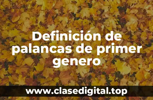 Definición de palancas de primer genero