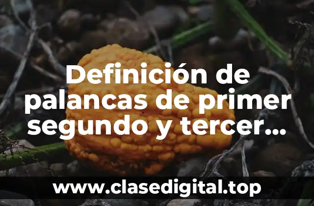 Definición de palancas de primer segundo y tercer grado