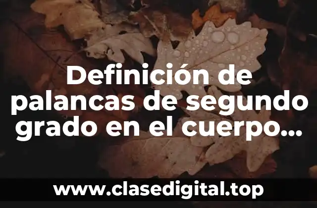 Definición de palancas de segundo grado en el cuerpo humano