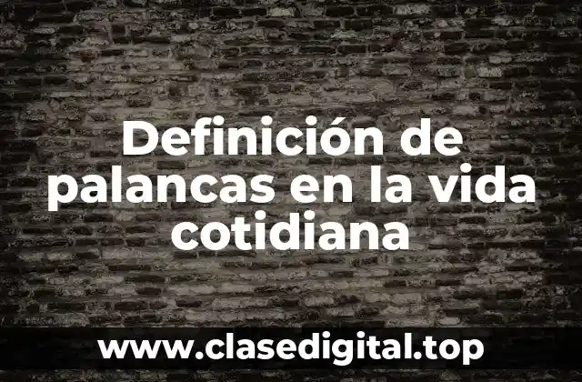 Ejemplos de palancas