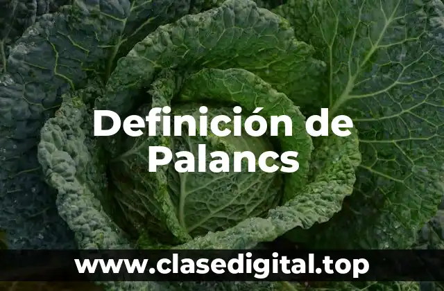 Definición de Palancs
