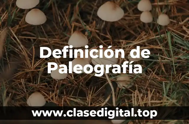 Definición de Paleografía