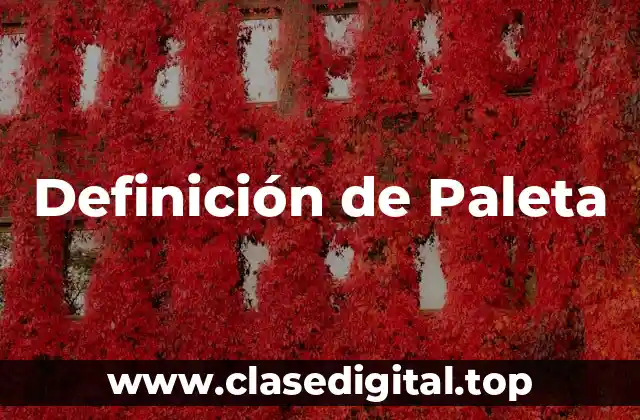 Definición de Paleta