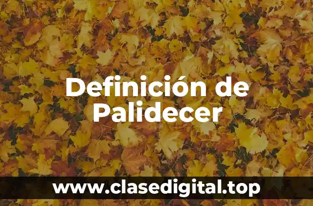 Definición de Palidecer