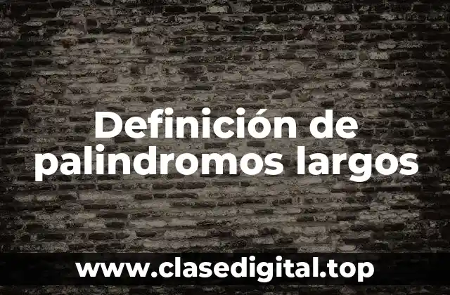 Definición de palindromos largos