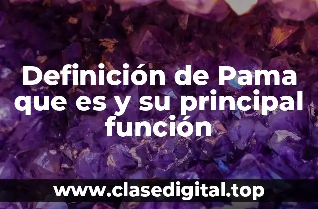 Definición de Pama que es y su principal función