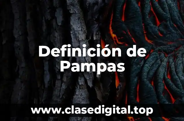 Definición de Pampas