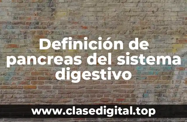 Definición de pancreas del sistema digestivo