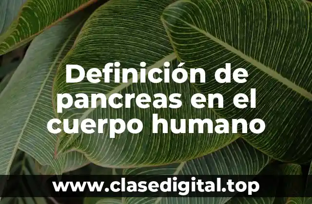 Definición de pancreas en el cuerpo humano