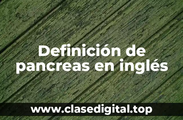 Definición de pancreas en inglés