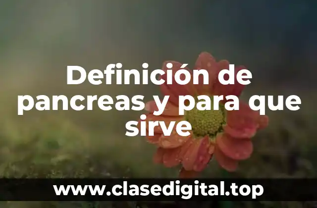 Definición de pancreas y para que sirve