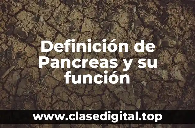 Definición de Pancreas y su función