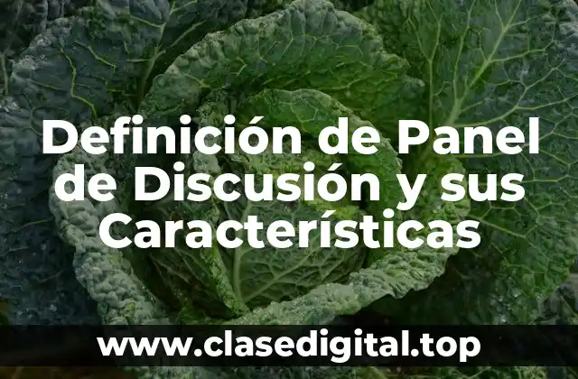 Definición de Panel de Discusión y sus Características