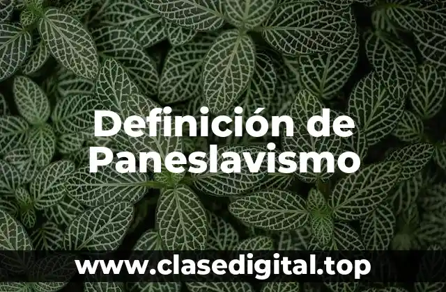 Definición de Paneslavismo