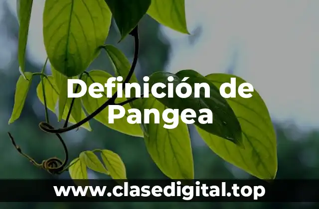 Definición de Pangea