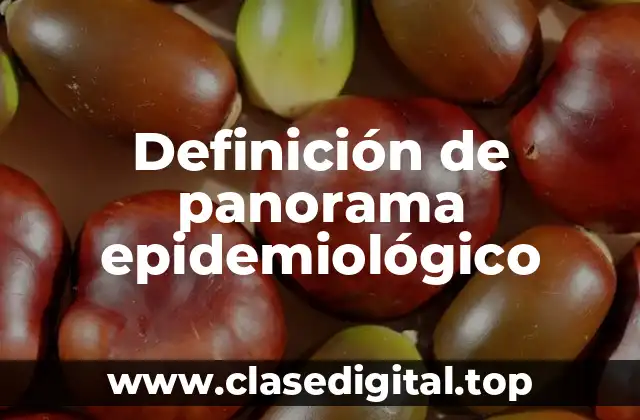 Definición de panorama epidemiológico