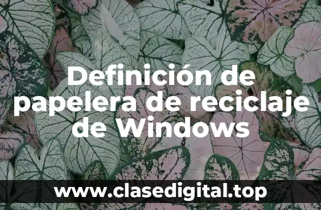 Definición de papelera de reciclaje de Windows