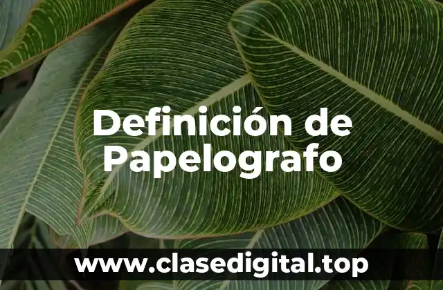 Definición de Papelografo