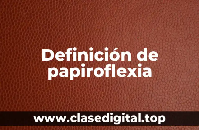 Definición de papiroflexia
