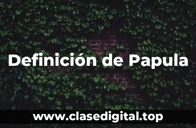 Definición de Papula
