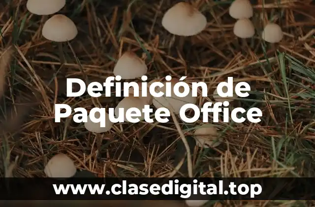 Definición de Paquete Office
