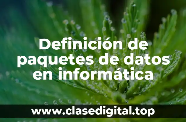 Definición de paquetes de datos en informática