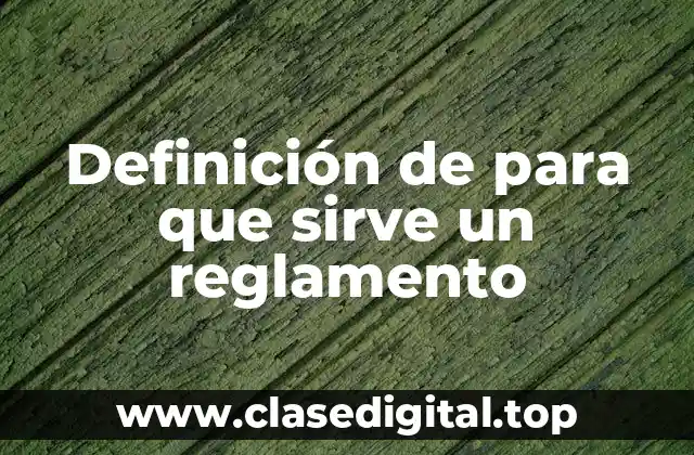 Definición técnica de reglamento