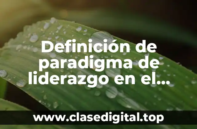 Definición de paradigma de liderazgo en el liderazgo