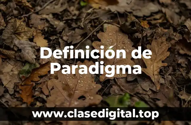 Definición técnica de Paradigma