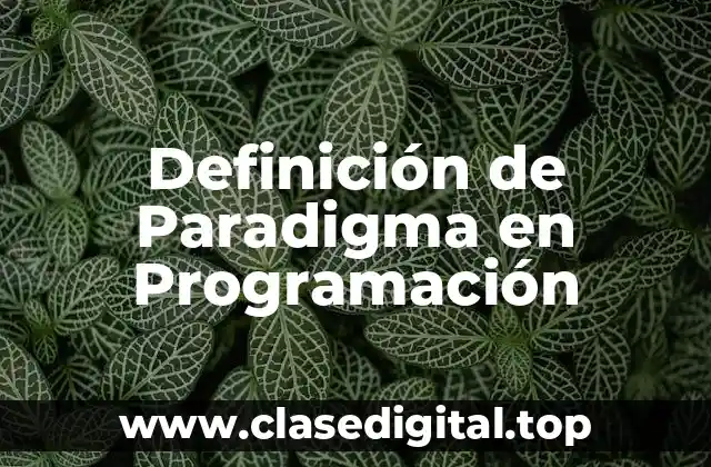 Definición de Paradigma en Programación