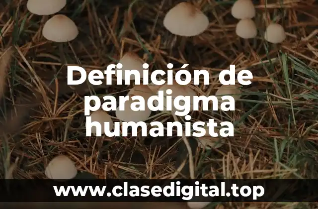 Definición técnica del paradigma humanista