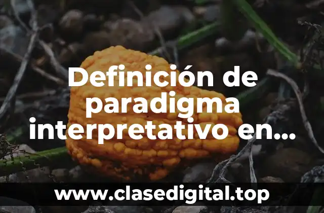 Definición de paradigma interpretativo en educación