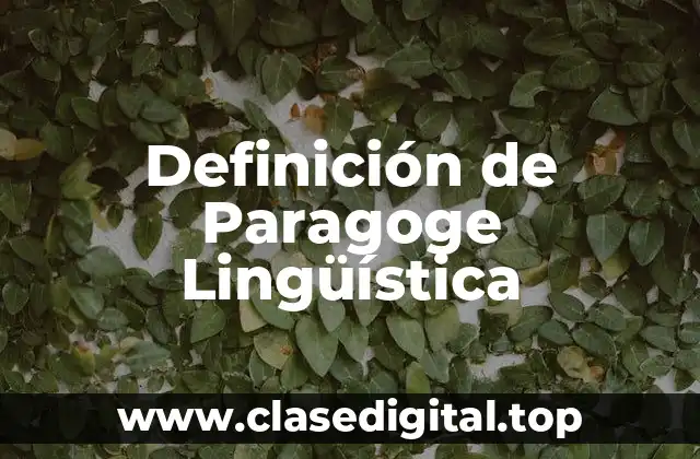Definición de Paragoge Lingüística