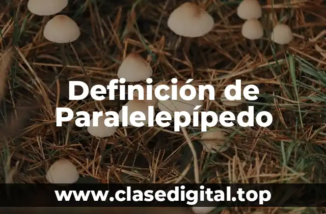 Definición técnica de Paralelepípedo