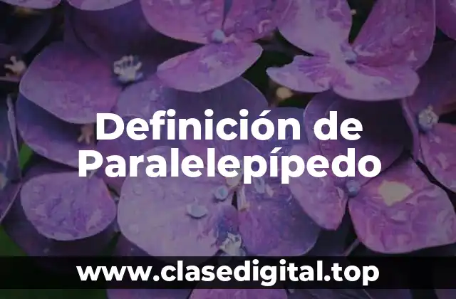 Definición Técnica de Paralelepípedo