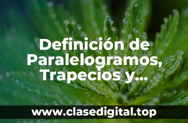 Ejemplos de Paralelogramos