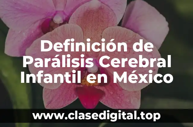 Definición de Parálisis Cerebral Infantil en México