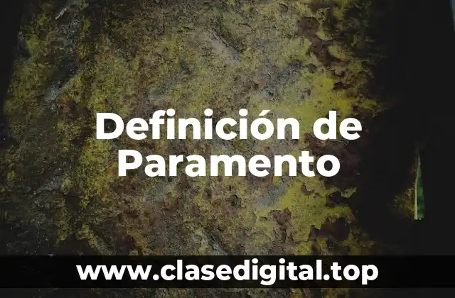 Definición de Paramento
