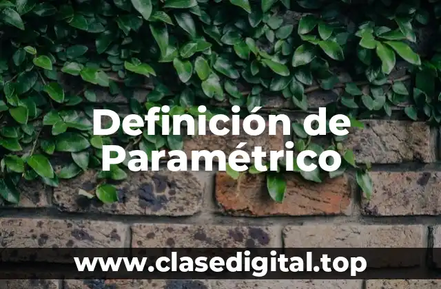 Definición de Paramétrico