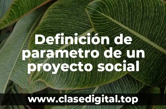 Definición de parametro de un proyecto social