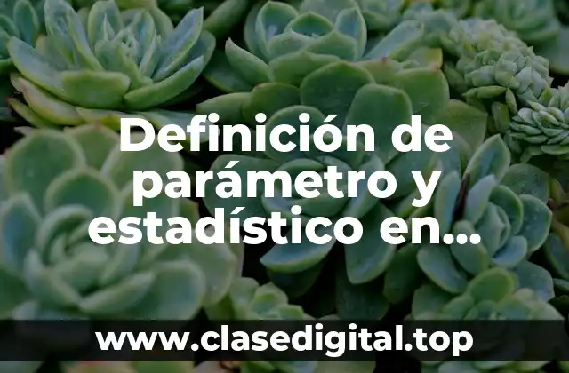 Definición de parámetro y estadístico en estadística