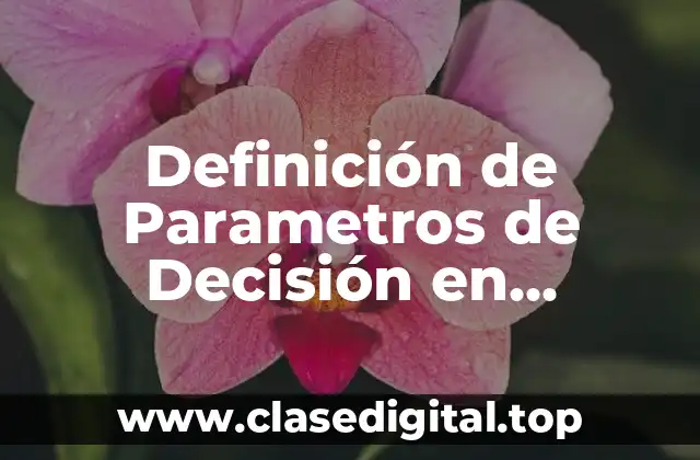 Definición de Parametros de Decisión en Matemáticas
