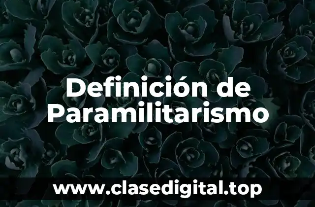 Definición de Paramilitarismo